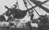 Bo gator M46 73rd tank Bat. 3rd infantry..jpg