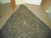 DSCN0578.jpg