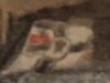 flg2.JPG