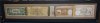 backshort.JPG