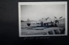 p38.JPG