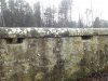 DSCF0019.JPG