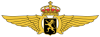 langfr-280px-Belgian_Air_Component_wings.svg.png