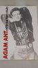 Adam ant 1.jpg