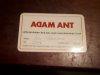 Adam 1.jpg