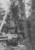 panther transmission.jpg