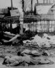 ww2-186.jpg