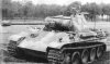a_special_panther.jpg