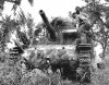 again_a_tank.jpg