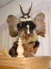Wolpertinger_1.jpg