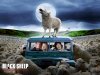 sheep.jpg