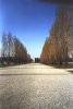 Dachau III.jpg