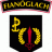 Irish_ranger