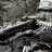 historyenthusiast