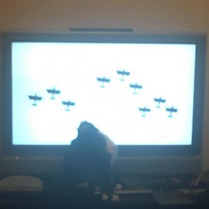 Mr. Bingley adores the Luftwaffe